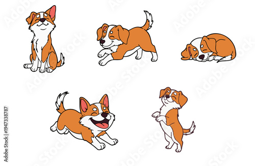 Cute Corgi Puppy Character set