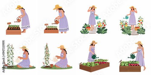 Set of flat vector illustrations showing a woman in a purple floral dress and straw hat gardening and watering various vegetables in a backyard.