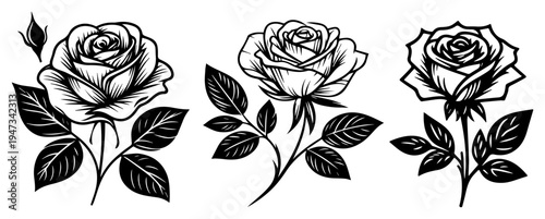 Set of Beautiful Rose Flowers with Leaves and Stems, Hand Drawn Ink Sketch Botanical Illustrations for Wedding and Floral Design Vector