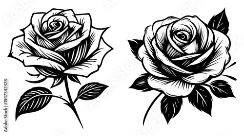 Detailed Rose Flowers with Stems and Leaves, Hand Drawn Vintage Botanical Ink Sketch for Romantic Wedding and Floral Art Vector Illustration