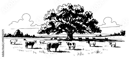 Cows Grazing in Meadow Under Large Oak Tree, Rural Farm Landscape Scene with Cattle and Clouds Hand Drawn Ink Sketch Vector Illustration