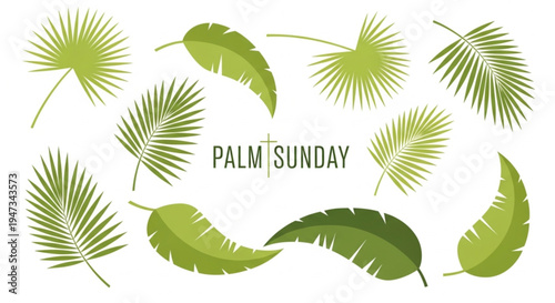 Palm Sunday leaves, green palm fronds, tropical foliage, Palm Sunday celebration