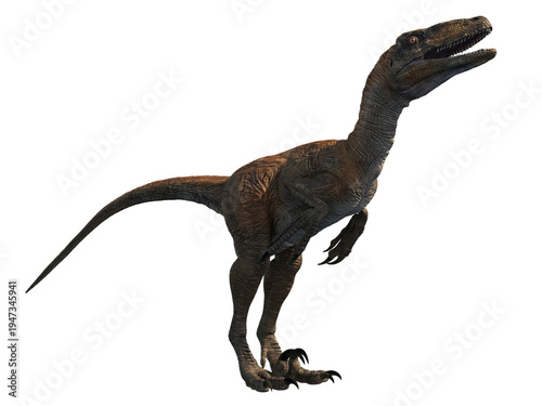Deinonychus velociraptor dinosaur 3d render