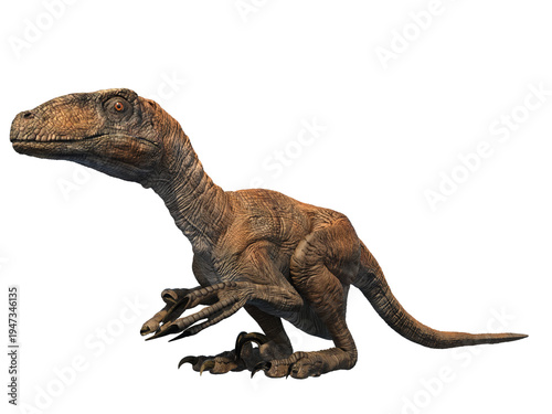 Deinonychus velociraptor dinosaur 3d render