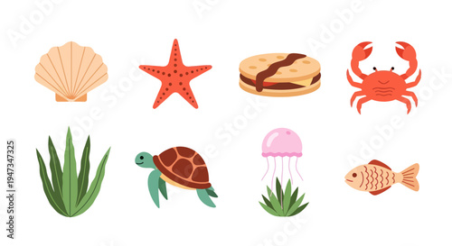 Underwater creatures and marine life