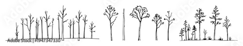 Trees set with thin black silhouette outlines on white backdrop featuring natural, evergreen, forest with simplistic and vector