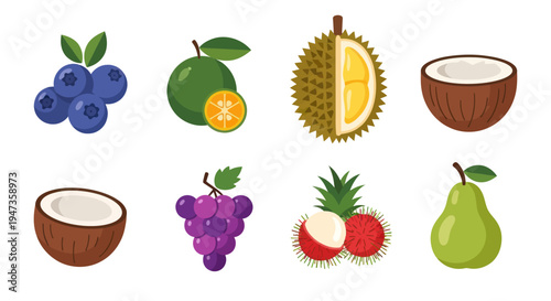 Assorted tropical fruit collection illustration