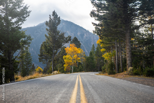 Winding mountain road surrounded by pine forest and autumn trees with mountains in the background in Yellowstone National Park, Wyoming, USA.
