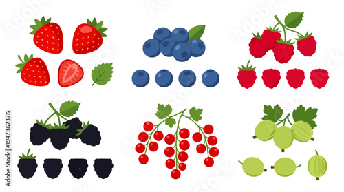 Vibrant flat design berry collection featuring fresh strawberries blueberries raspberries blackberries currants and gooseberries.