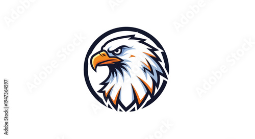 American Bald Eagle Head.