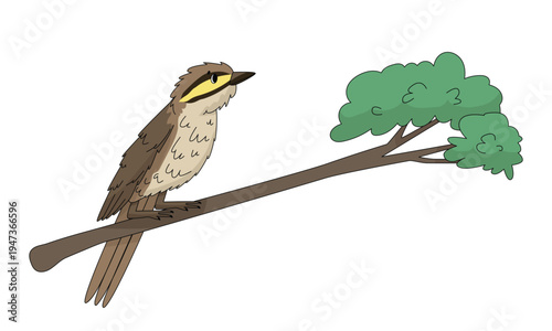 Australian honeyeater bird cartoon perched on branch isolated illustration. Vector drawing