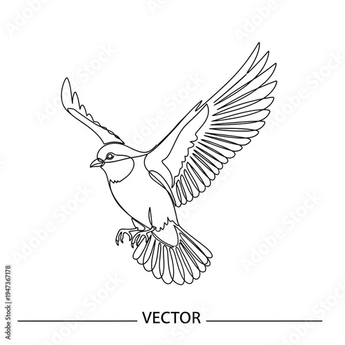 Vector illustration of a bird in flight with wings spread