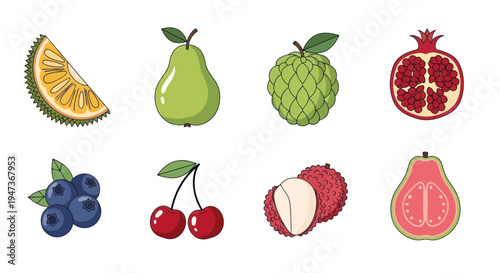 Assorted colorful fruits illustration