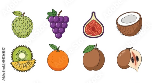 Cartoon variety of colorful fresh fruits