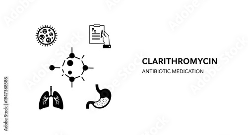 Clarithromycin antibiotic medication concept illustration with anatomy and bacteria icons