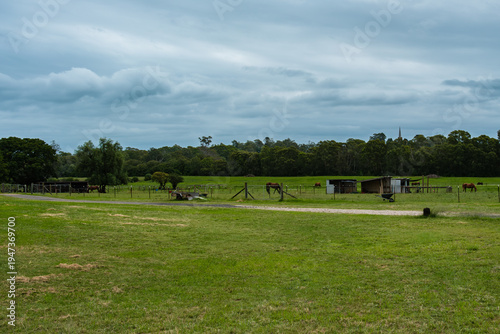 Wallpaper Mural Camden, NSW, Australia – February 16, 2026: historic town street scene with local shops and cafes, small-town architecture and roadside daily life in Camden, New South Wales editorial image Torontodigital.ca