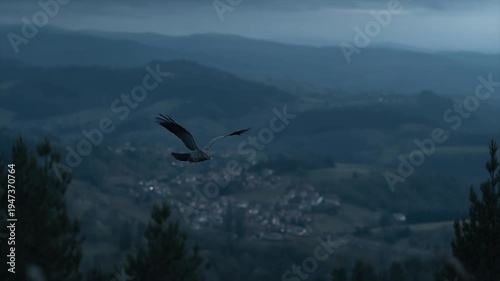 A bird flies over a rural landscape at dusk, silhouetted by the fading light