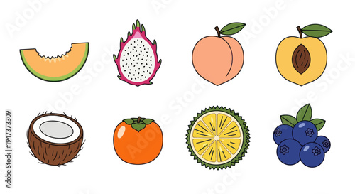 Colorful vector illustration of various fruits