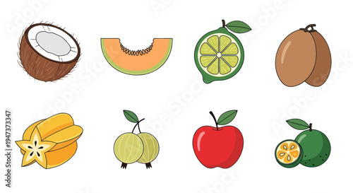 Colorful vector illustrations of various fruits