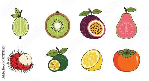 Colorful fruit collection isolated on white