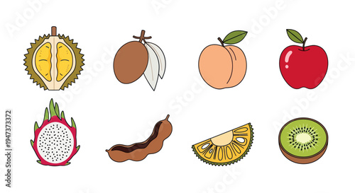 Colorful vector illustrations of various fruits