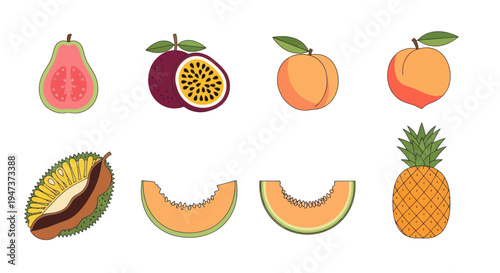 Colorful fruit collection on white background