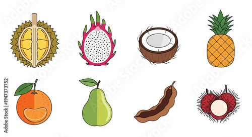 Colorful tropical fruit assortment illustration