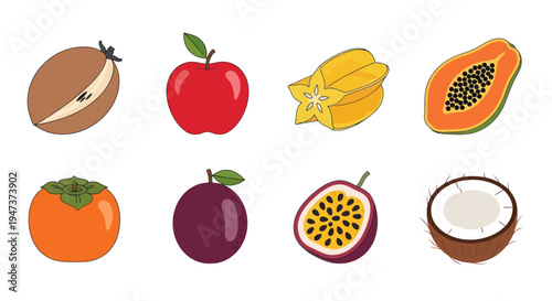 Colorful tropical fruits illustration