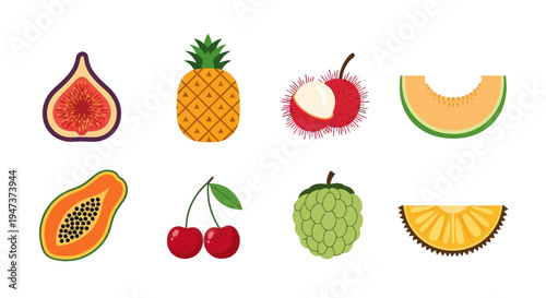 Colorful tropical fruits in vector illustration