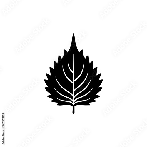 A stylized black silhouette of a maple leaf with intricate vein details