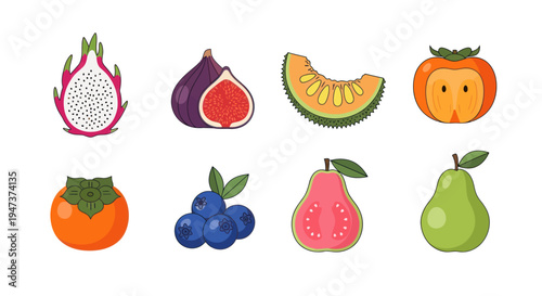 Colorful vector illustration of various fruits