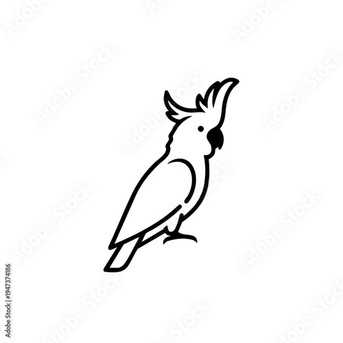 Graceful line drawing of a cockatoo perched with its head tilted upward