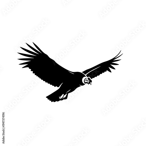 Graceful black eagle in mid-flight with wings spread wide