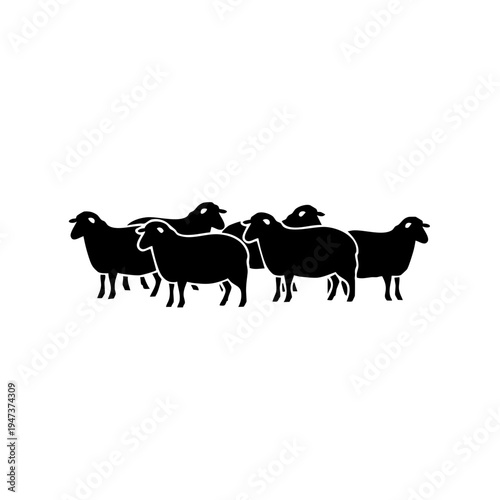 Five black sheep standing closely together in a line