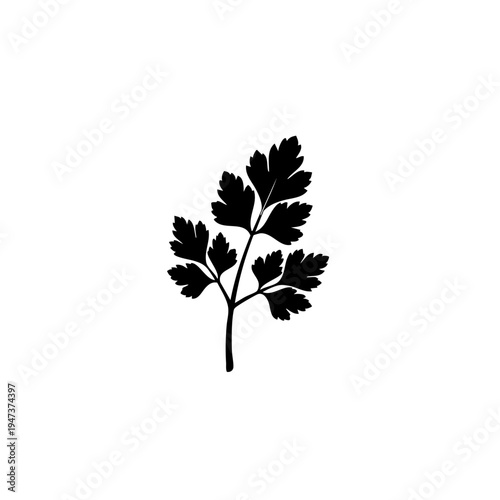 A stylized black and white illustration of a parsley leaf cluster