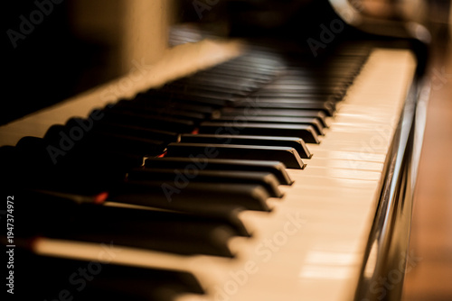  PIANO  con copy space 