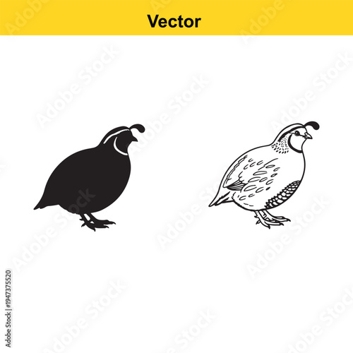 A stylized orange illustration of a cowgirl riding a galloping horse while holding a lasso rope