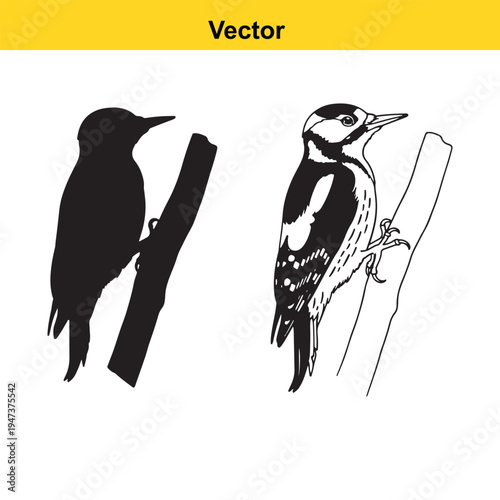 A black and white line art illustration of a heroic cowboy riding a rearing horse in profile view