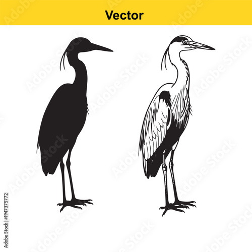 A vibrant orange silhouette of a cowgirl riding a rearing horse and tipping her hat in greeting