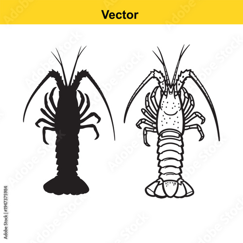 A stylized orange illustration of a cowgirl riding a bucking horse while swinging a lasso rope