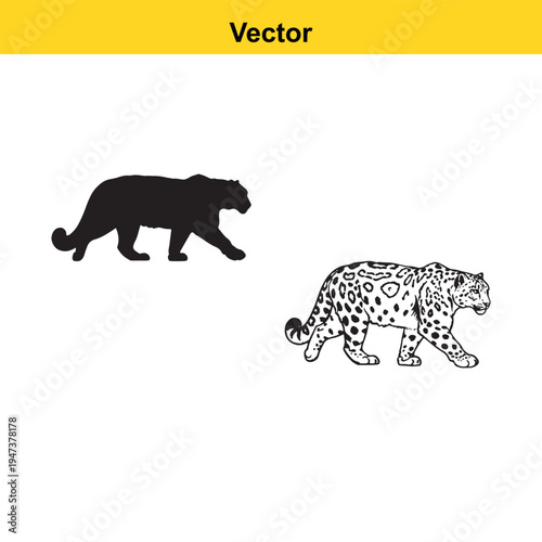 A detailed illustration of a snow leopard shown in both solid black silhouette and line drawing