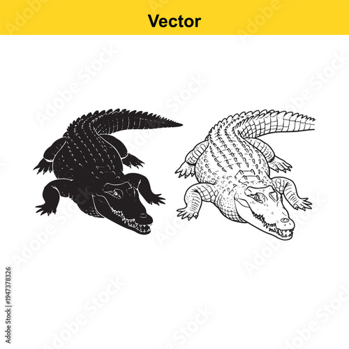 Black silhouette and detailed line art illustration of a crocodile isolated on white background
