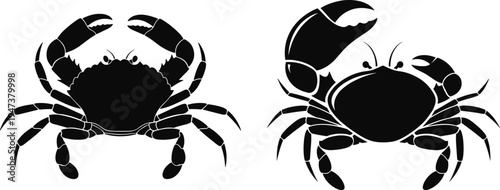 Crab silhouette vector illustration set, detailed sea crustacean icon collection, black marine animal symbols isolated on white background