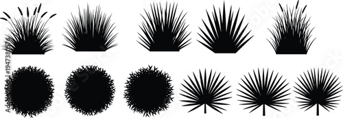 Grass and plant silhouette collection with bushes, shrubs and agave shapes, black botanical nature elements set vector illustration