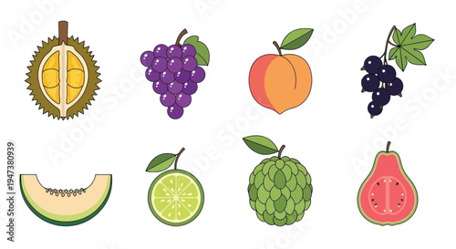 Colorful fruit assortment illustration