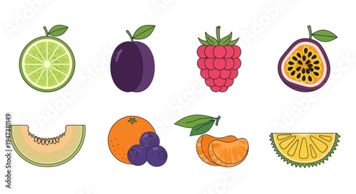 Colorful fruit assortment vector illustration