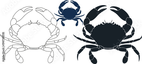 Collection of black vector crab silhouettes and line art isolated on white background for seafood restaurant menu marine life education and coastal logo design