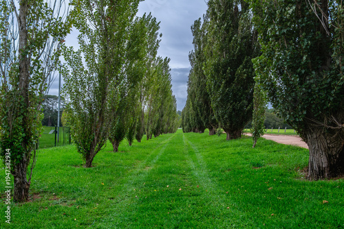 Wallpaper Mural Camden, NSW, Australia – February 16, 2026: historic town street scene with local shops and cafes, small-town architecture and roadside daily life in Camden, New South Wales editorial image Torontodigital.ca