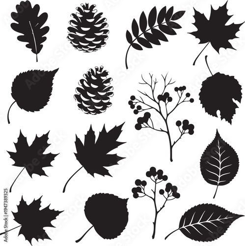 Black silhouettes of various leaves and pine cones on white background