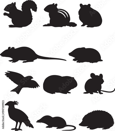wild animals vector silhouette set